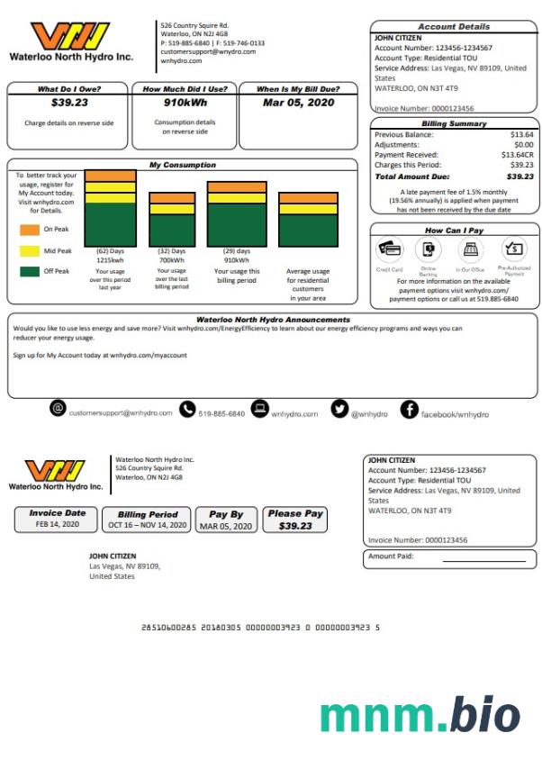 USA Nevada Waterloo North Hydro rachunek za media szablon w formacie Word i PDF (Wersja 2)